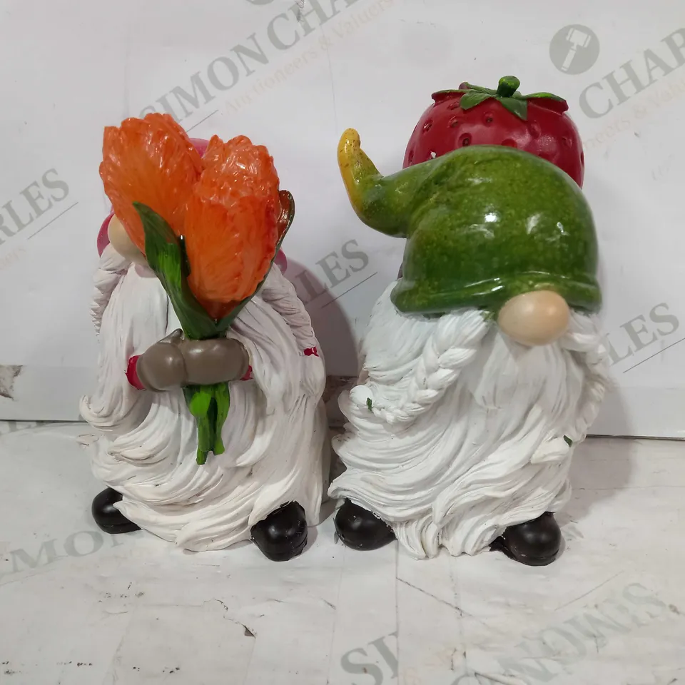 HOME2GARDEN SET OF 2 LED CARRYING GNOMES