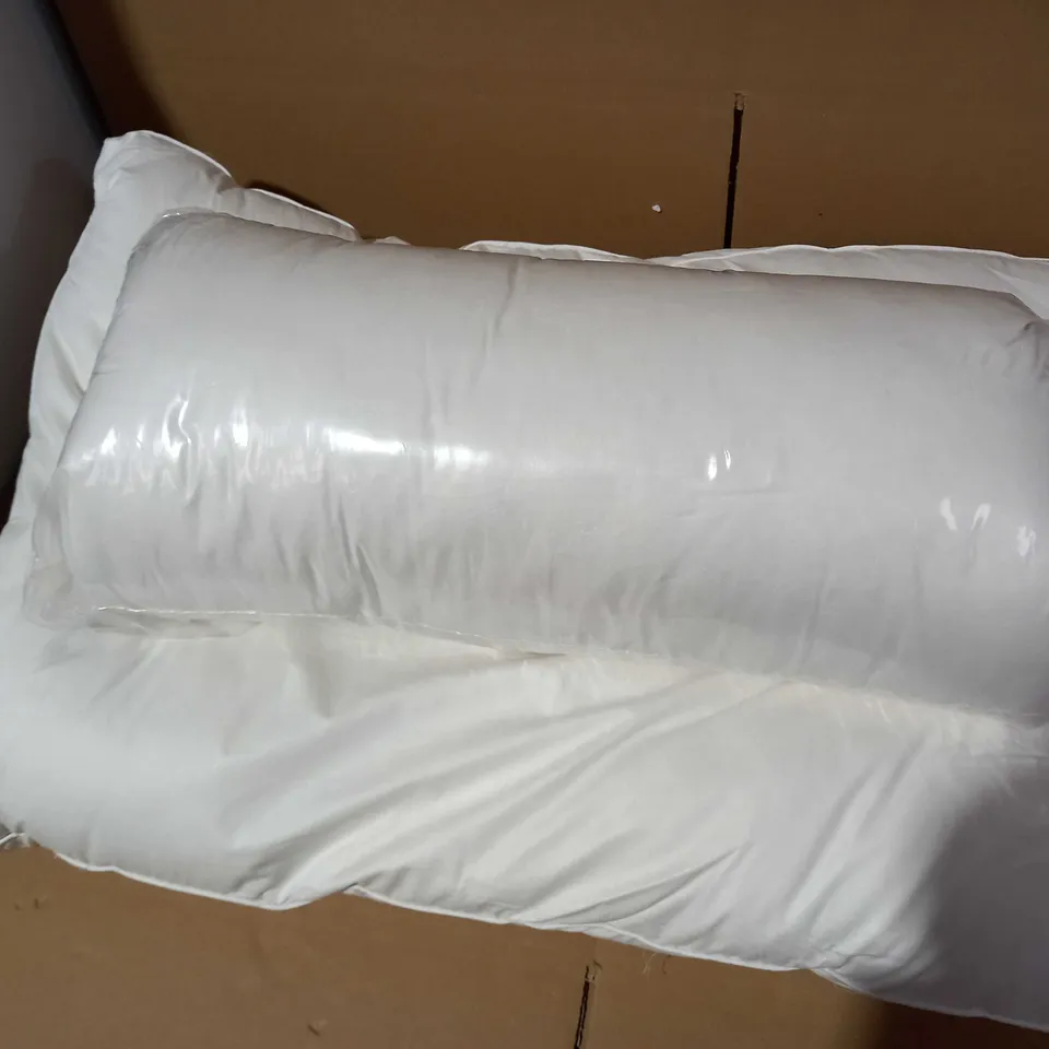 NORTHERN NIGHTS SET OF PUR FEATHER PILLOWS WITH GUSSET (MEDIUM)