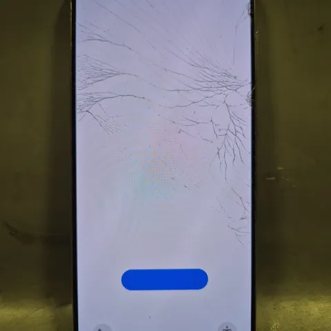 SAMSUNG GALAXY S21
