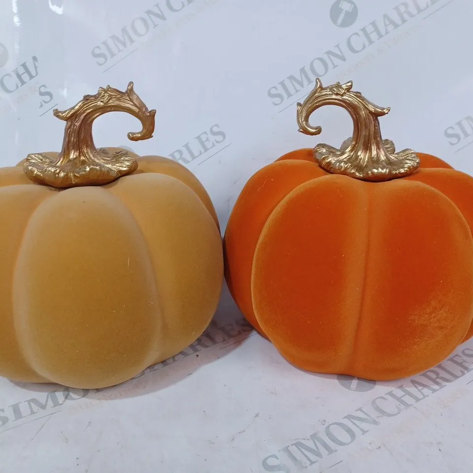 HOME REFLECTIONS SET OF 2 AUTUMN VELVET PUMPKINS