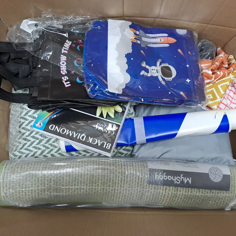 APPROXIMATELY 15 ASSORTED HOUSEHOLD ITEMS TO INCLUDE RUG, DUMBBELL CANVAS INKJET PAPER, ETC - COLLECTION ONLY