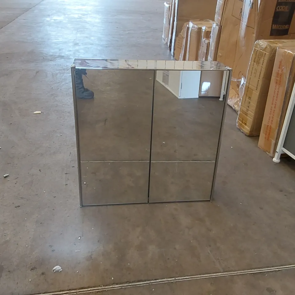 DESIGNER 2 DOOR MIRROR CABINET 