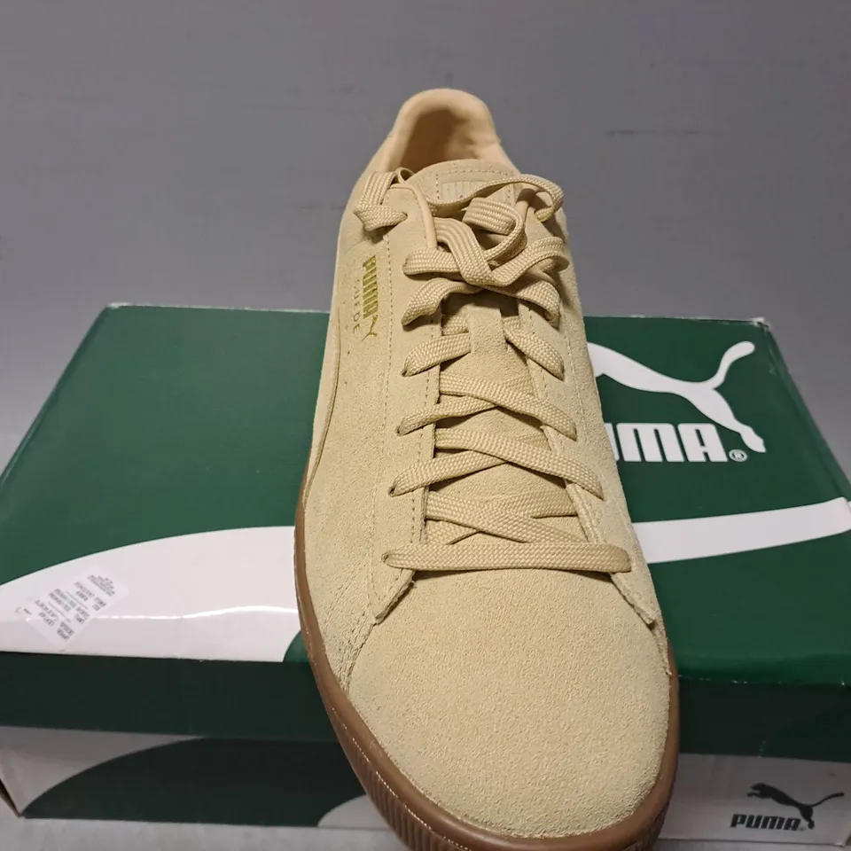 BOXED PUMA SUEDE GUM PEBBLE GUM TRAINERS - UK 12