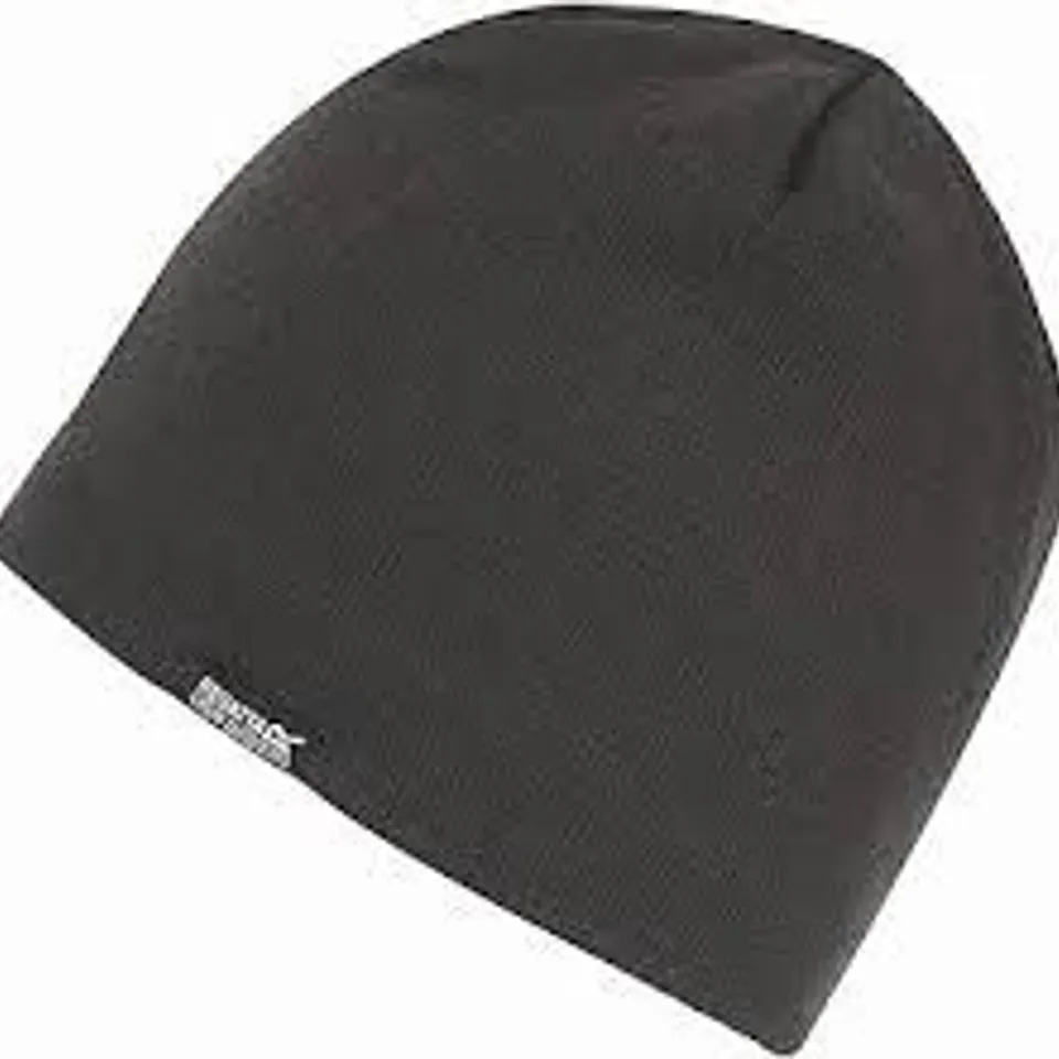BRAND NEW REGATTA BREVIS BEANIE IN SEAL GREY - L/XL