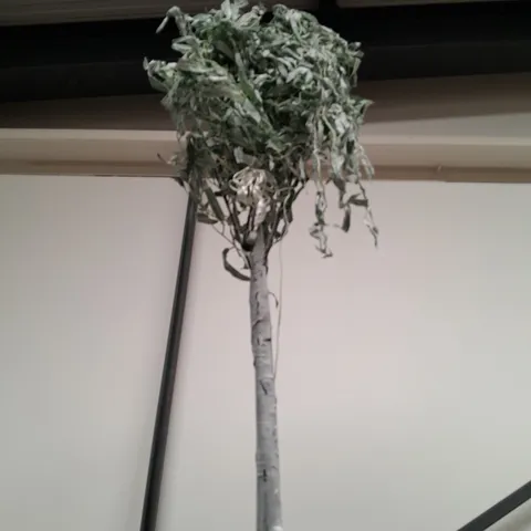 OUTLET ALISON CORK 180CM PRE-LIT SAGE GREEN LEAF WILLOW TREE - COLLECTION ONLY