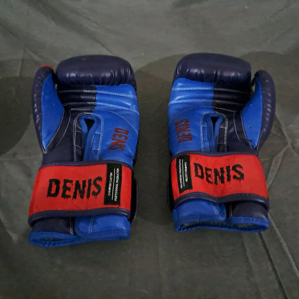 PAIR OF CUSTOMISED BOXING GLOVES