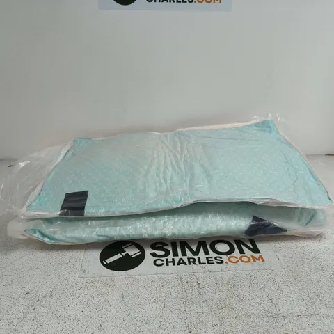SET OF 2 PILLOWS