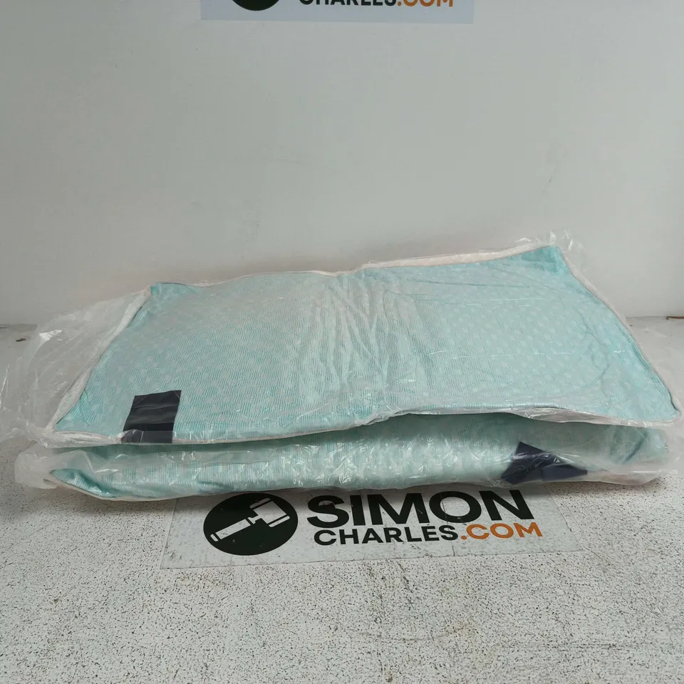 SET OF 2 PILLOWS
