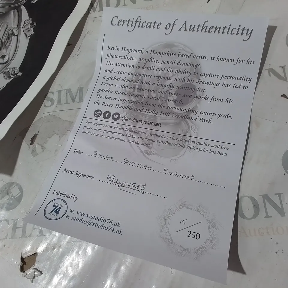 S8EBE GORMAN HELMET- KEVIN HAYWARD