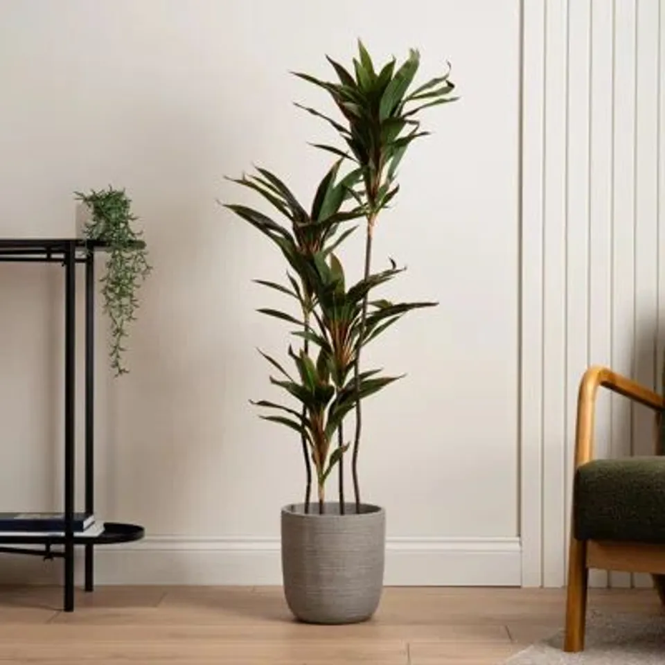 BOXED 120CM FAUX REAL TOUCH RED DRACAENA TREE