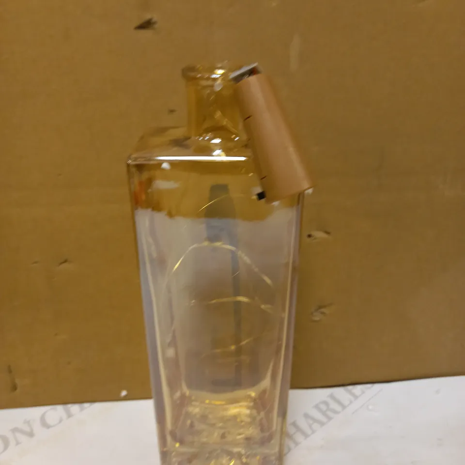 BUNDLEBERRY BY AMANDA HOLDEN SET OF VINTAGE STYLE WIRE LIGHT BOTTLES GOLD