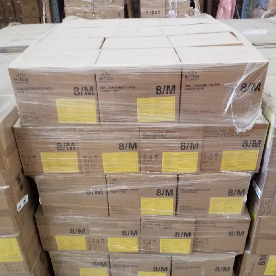 PALLET OF APPROXIMATELY 70 INTCO VINYL DISPOSABLE GLOVES 100PK BOXES - MEDIUM