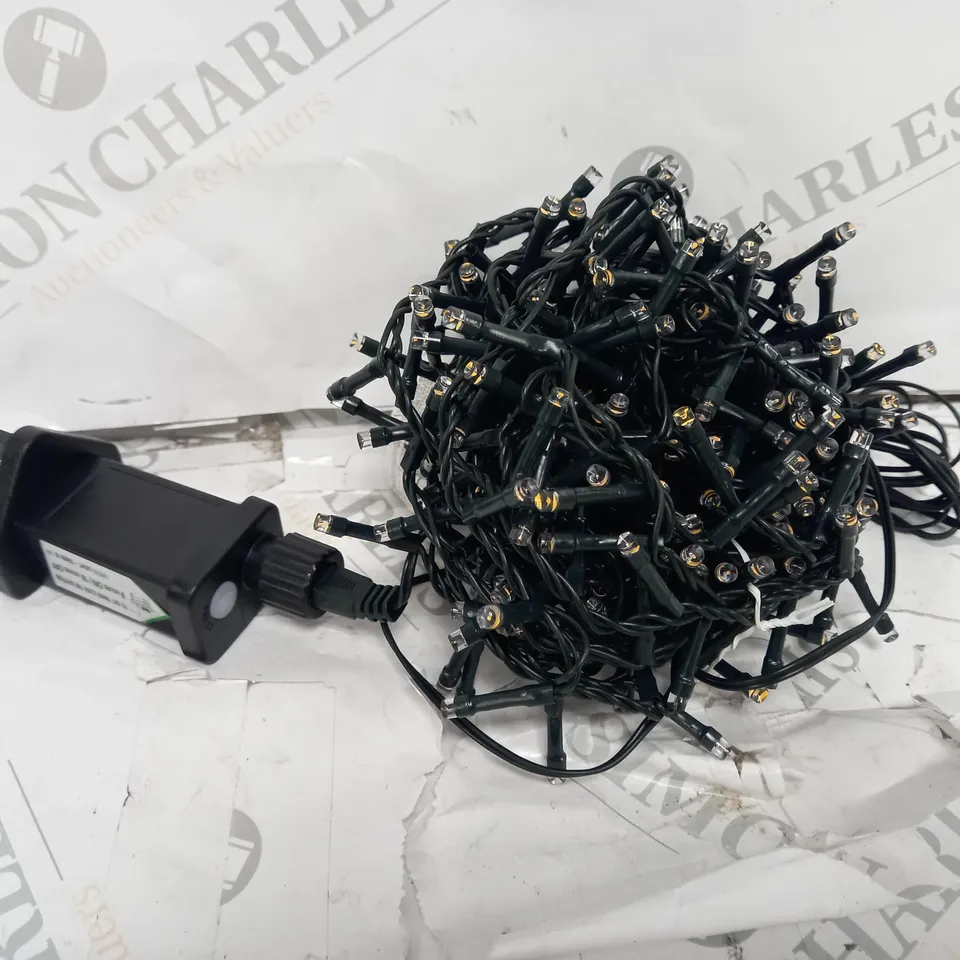 Festive Firefly Indoor Outdoor Warm White Lights