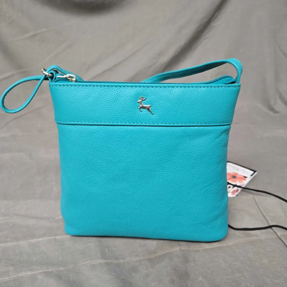 ASHWOOD LUXURY LEATHER CROSS BODY BAG IN TURQUOISE 