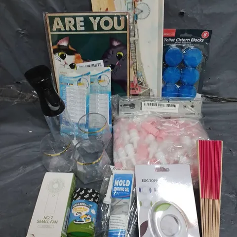 APPROXIMATELY 10 ASSORTED HOUSEHOLD ITEMS TOO INCLUDE - FANS - TOILET CISTERN BLOCKS - MOULD REMOVING GEL - ETC