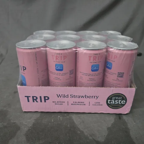 TRIP WILD STRAWBERRY DRINKS 12 PACK (12X 250ML)