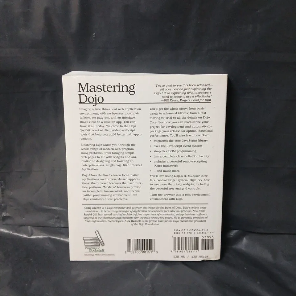 MASTERING DOJO PAPERBACK – 1 JULY 2008 BY CRAIG RIECKE