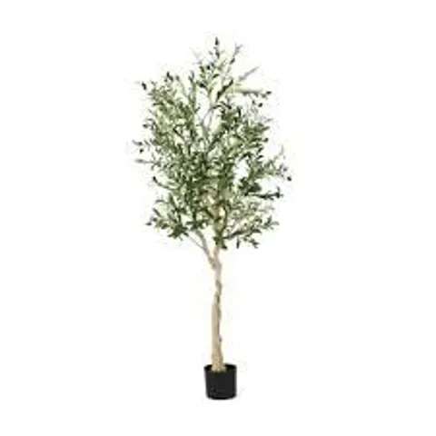 BOXED 182CM FAUX OLIVE TREE TREE IN POT (1 BOX)
