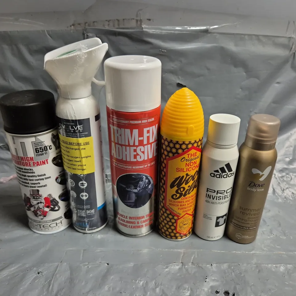 APPROXIMATELY 10 ASSORTED AEROSOLS TO INCLUDE ADIDAS, DOVE AND WOOD SILK