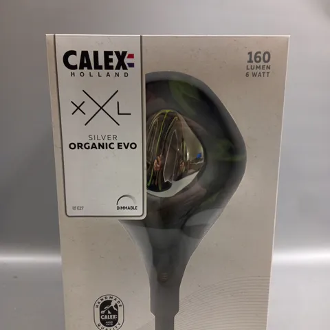 SET OF 2 CALEX HOLLAND SILVER ORGANIC EVO 160 LUMEN 6 WATT 