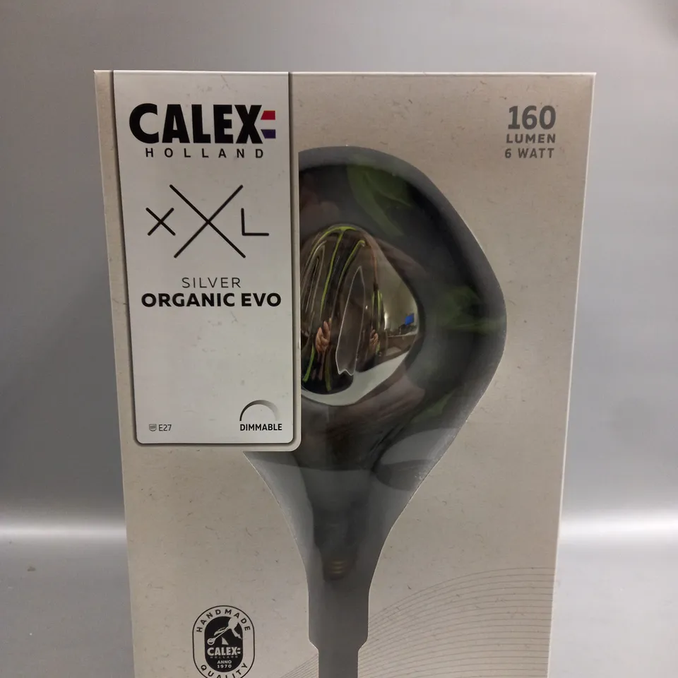 SET OF 2 CALEX HOLLAND SILVER ORGANIC EVO 160 LUMEN 6 WATT 