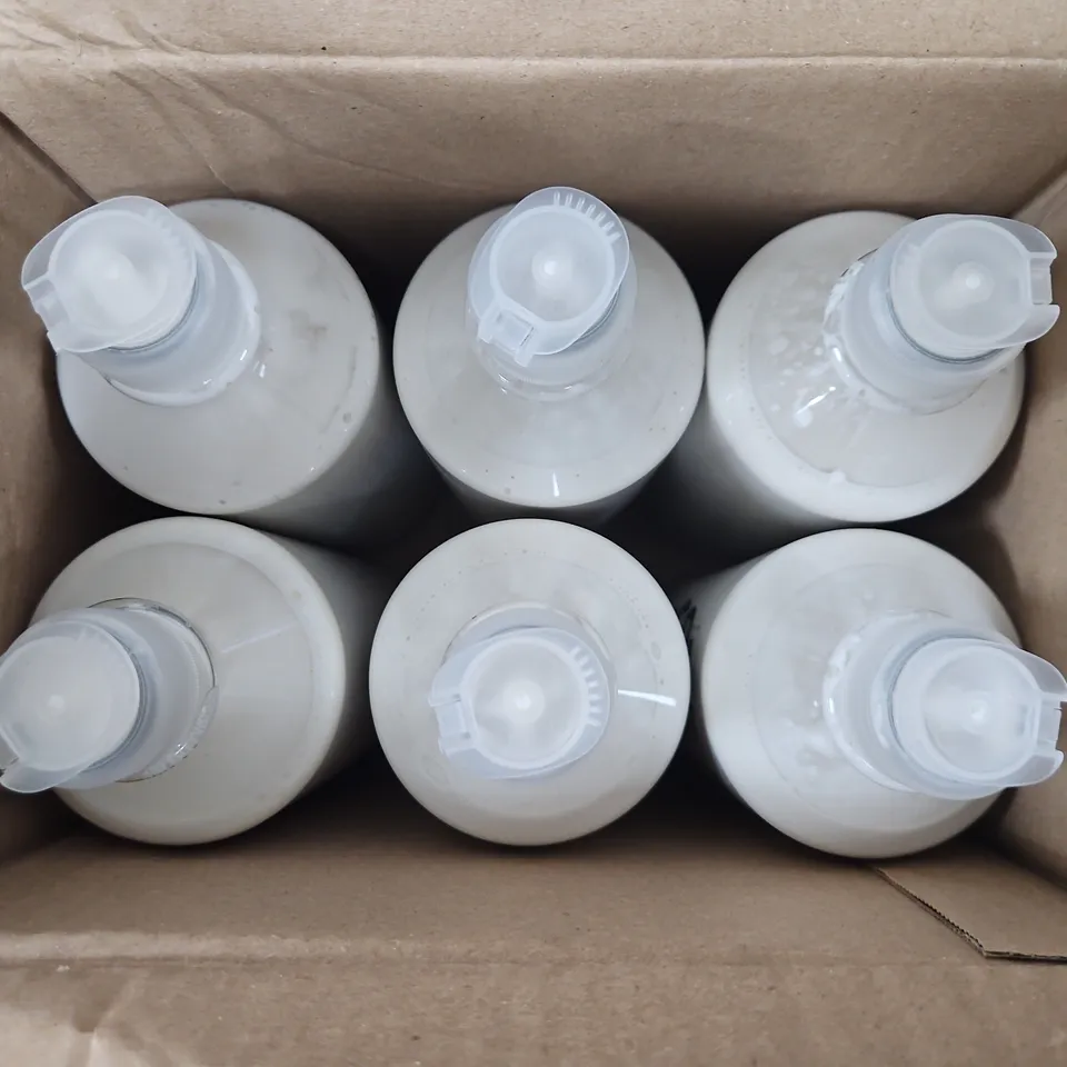 24 BOTTLES OF BIG COLOUR READY MIXED PAINT IN WHITE (600ML) - COLLECTION ONLY