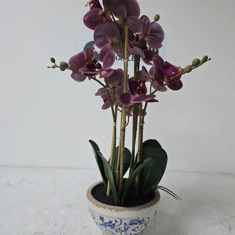 PHALAENOPSIS ORCHID IN DECORATIVE CERAMIC POT