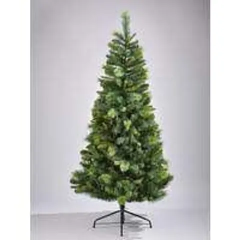 BOXED 6FT CANNOCK GREAT VALUE TREE