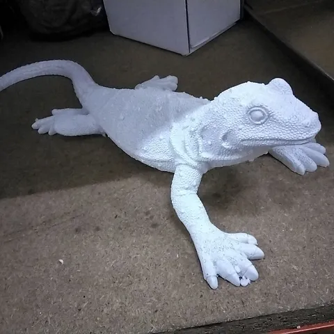 BOXED CRAUT LARGE LIZARD FIGURING
