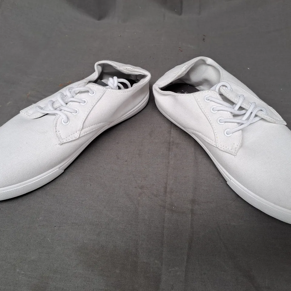 BOX OF APPROXIMATELY 5 PAIRS OF DESIGNER CANVAS SHOES IN WHITE IN VARIOUS SIZES