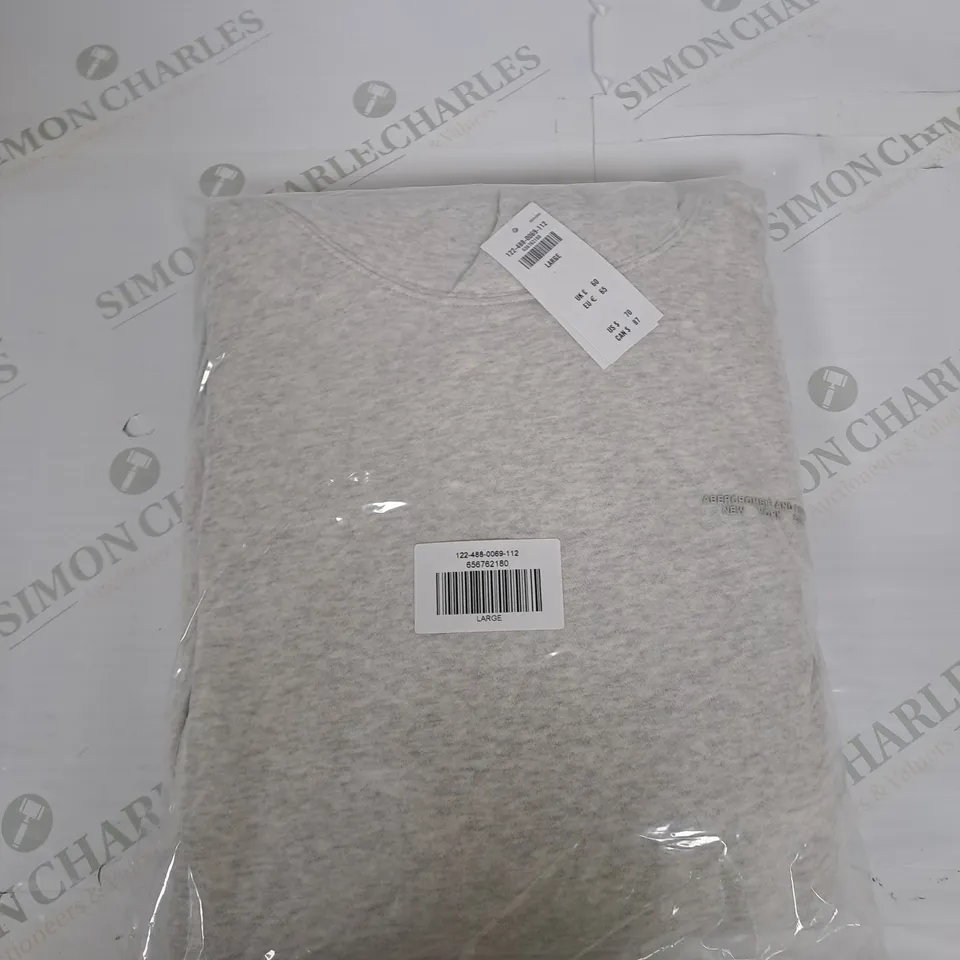 BAGGED ABERCROMBIE AND FITCH GRAPHIC HOODIE SIZE L