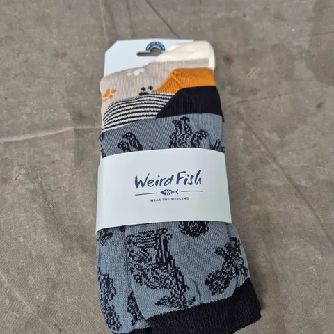WEIRD FISH SOCKS – X3