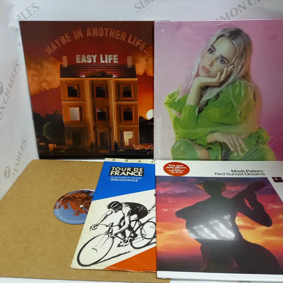 LOT OF 14 ASSORTED VINYL RECORDINGS, TO INCLUDE CHILDISH GAMBINO, KINGS OF LEON, CHEERBLEEDERZ, ETC