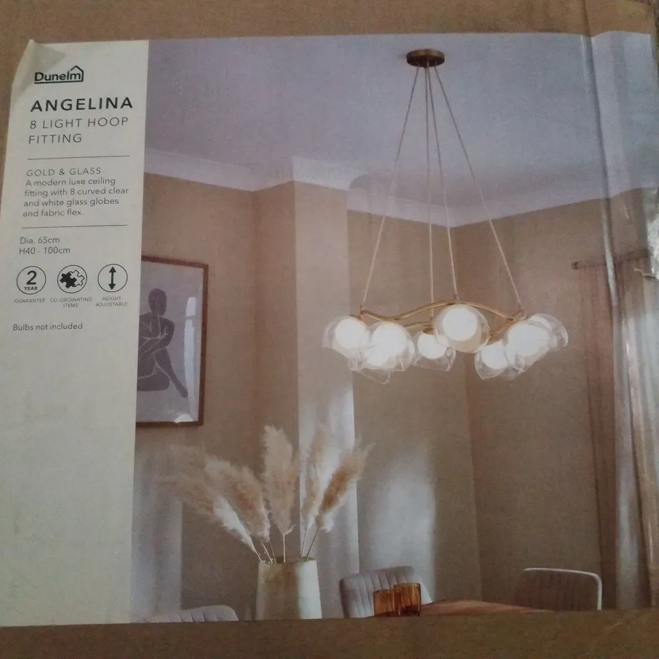 BOXED DUNELM ANGELINEA 8 LIGHT HOOP FITTING 