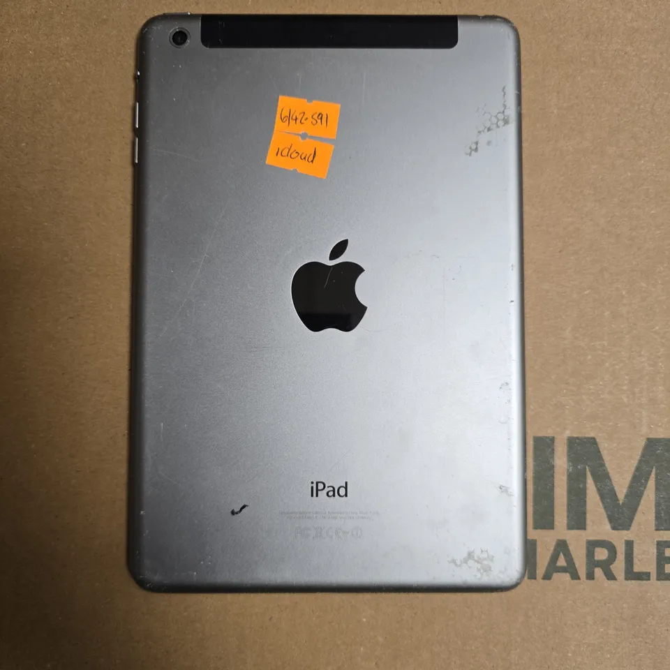 APPLE IPAD MINI 2 IN GREY