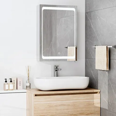 BOXED HOLTZ 50CM Γ 72CM SURFACE MOUNT MIRROR CABINET