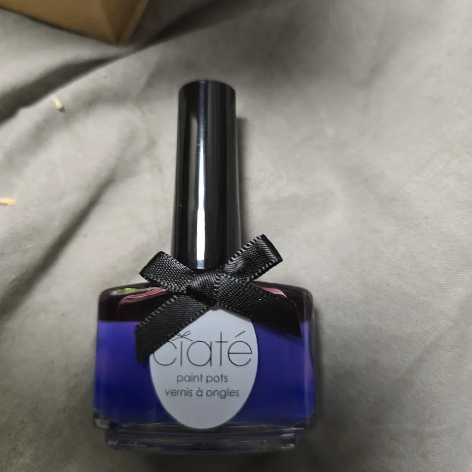 CIATÉ LONDON PAINT POTS NAIL POLISH – WHAT THE SHELL? (13.5 ML) – BOXED