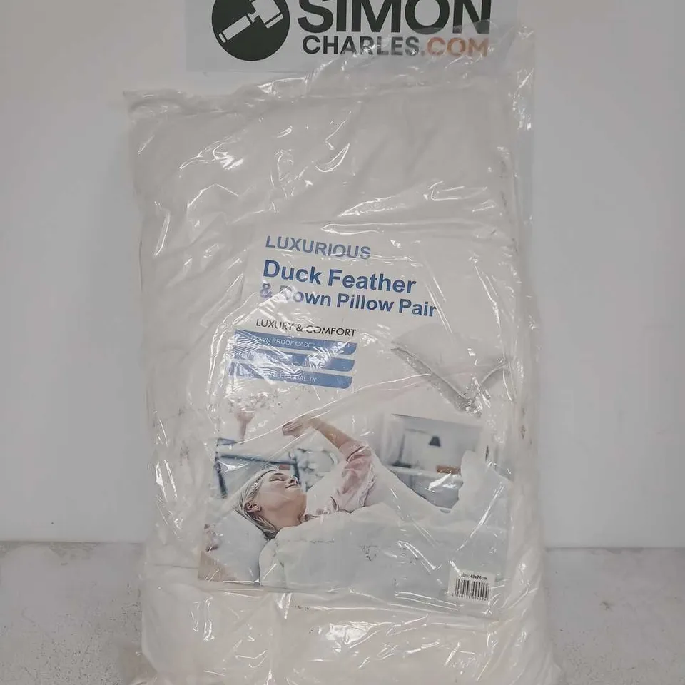 LUXURIOUS DUCK FEATHER & DOWN PILLOW PAIR 48X74CM