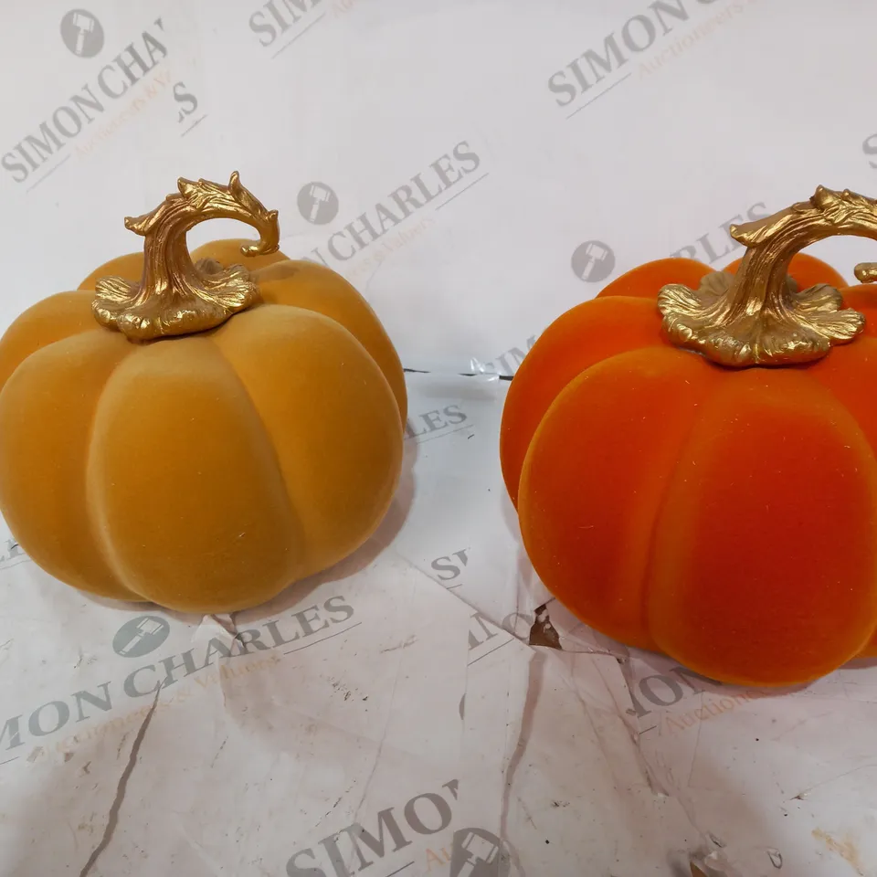 HOME REFLECTIONS SET OF 2 AUTUMN VELVET PUMPKINS
