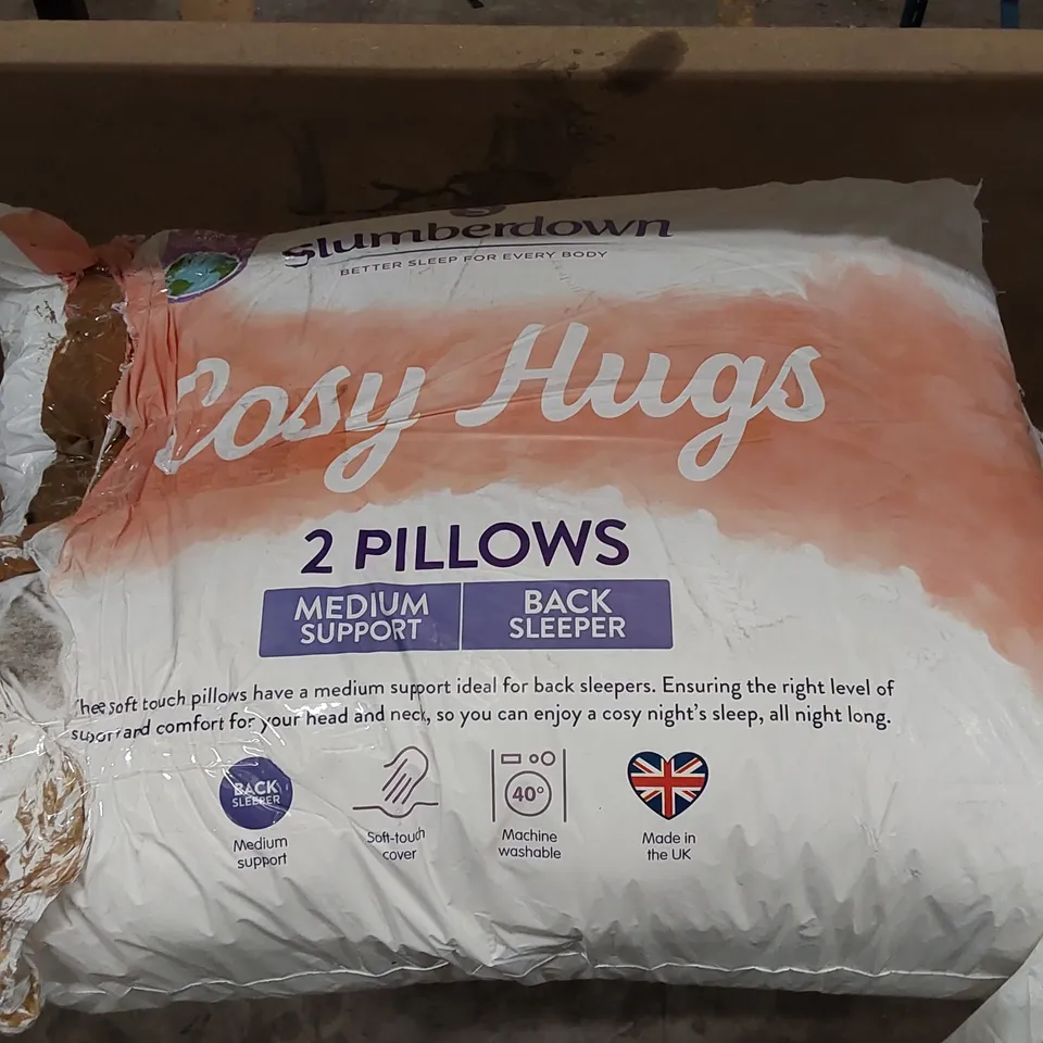 BAGGED SLUMBERDOWN COSY HUGS MEDIUM BACK SUPPORT PILLOWS - SET OF 2 (1 ITEM)