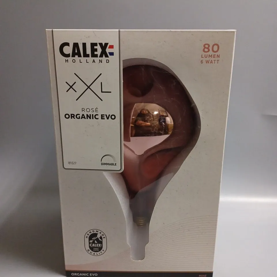 BOXED CALEX HOLLAND XXL ROSE ORGANIC EVO 80 LUMEN 6 WATT