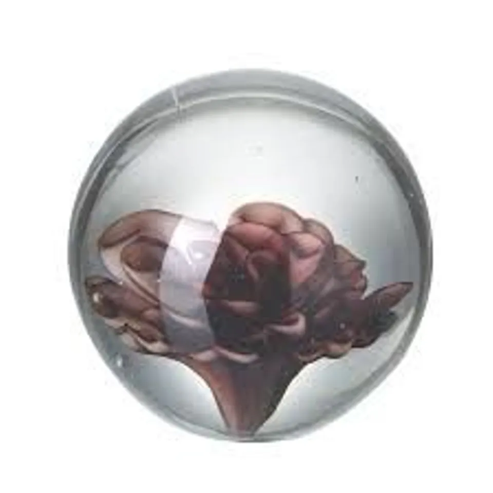 BOXED FLOWER DEAVER WATER GLOBE