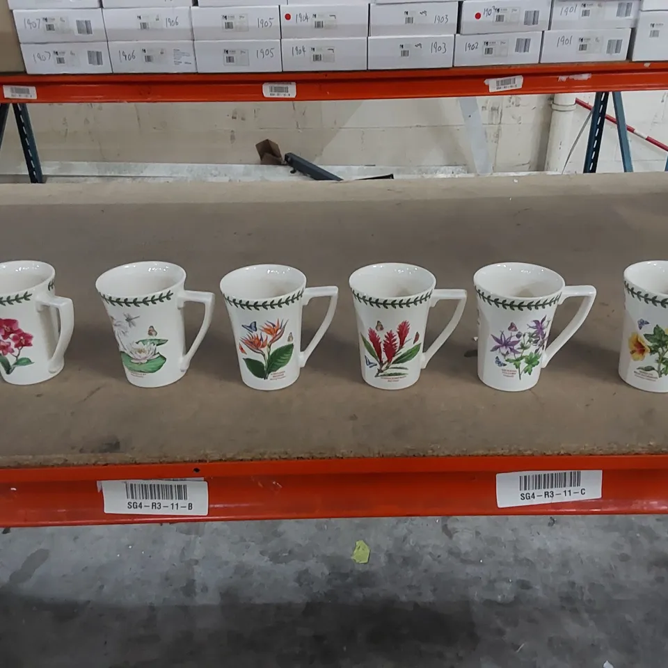 BOXED EXOTIC BOTANIC GARDEN 6 PIECE MANDARIN MUGS 