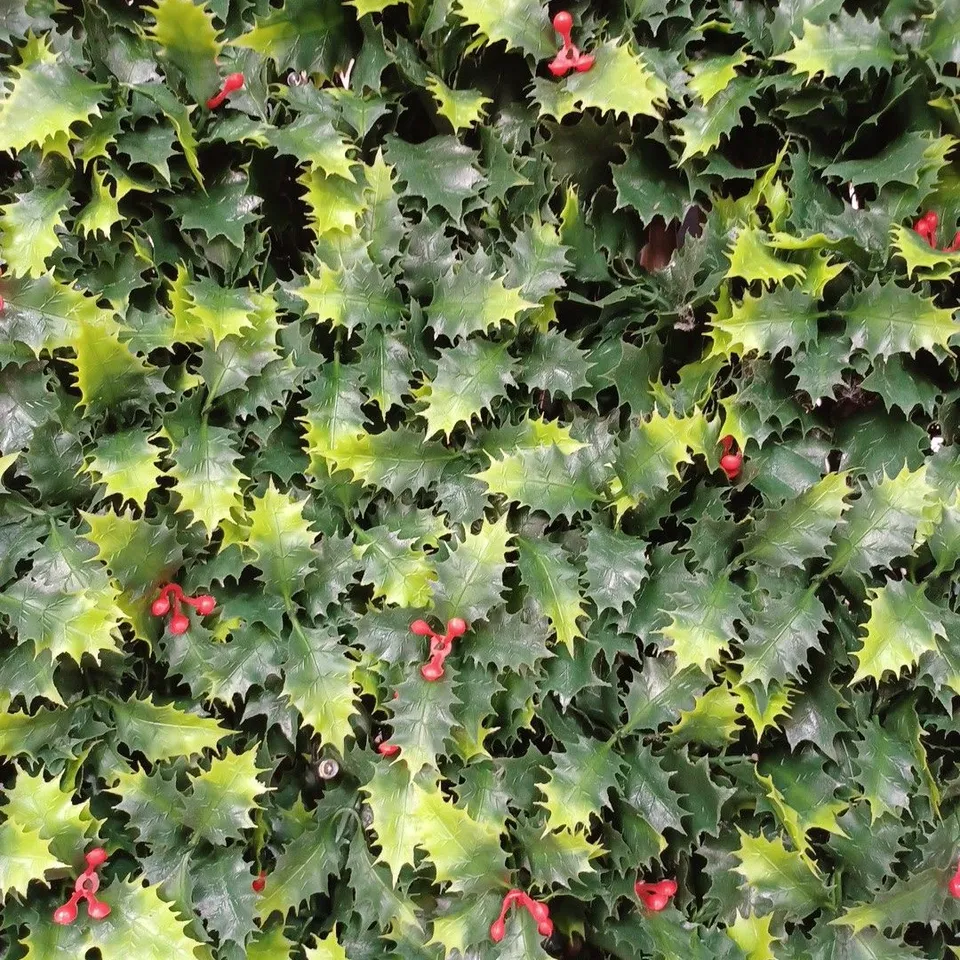 GARDEN REFLECTIONS PRE-LIT HOLLY TRELLIS - COLLECTION ONLY