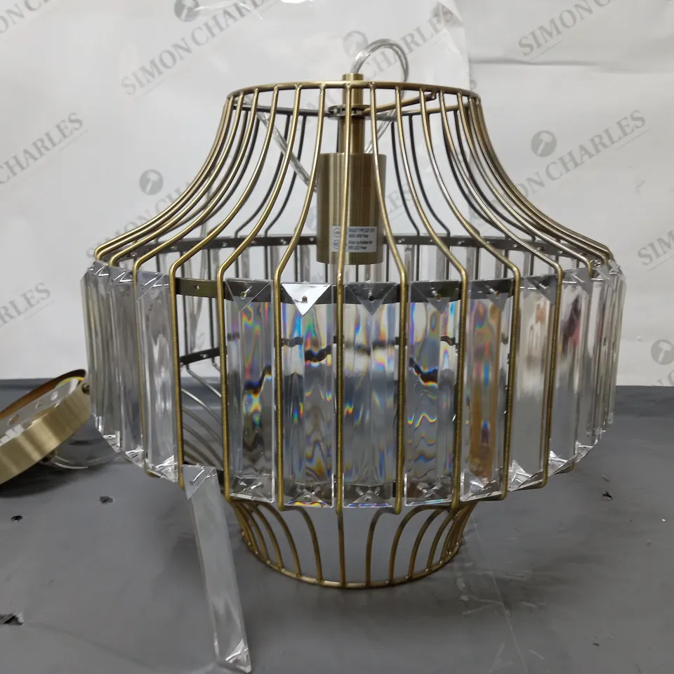 ALEXA CEILING PENDANT LIGHT FIXTURE RRP £50