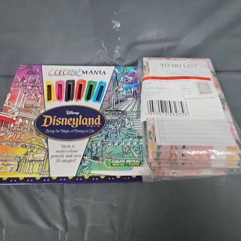 LARGE BOX OF APPROXIMAELY 4 ASSORTED ITEMS TO INCLUDE TO DO PADS, DISNEY AND GIFT BAG