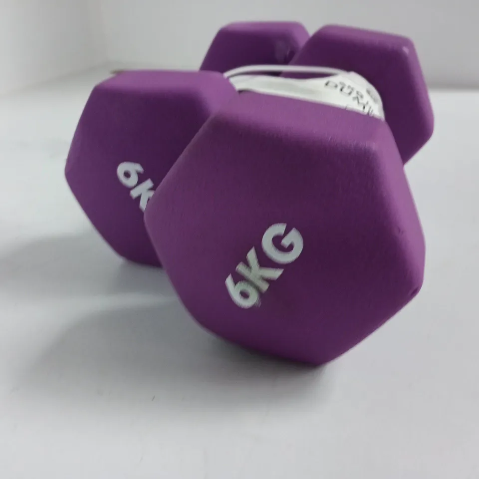 PAIR OF KAYMAN 6KG DUMBELLS - PURPLE