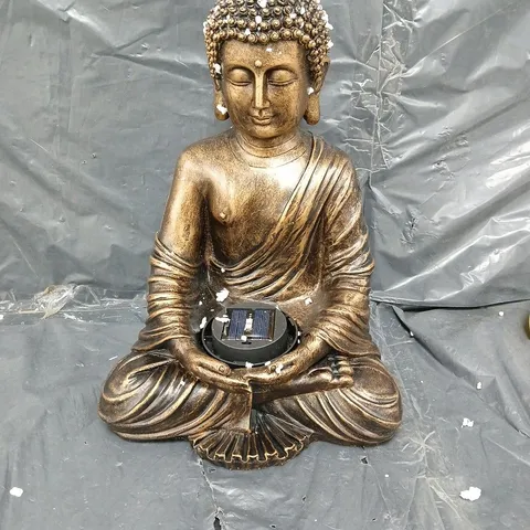 BUDDHA - collection only 