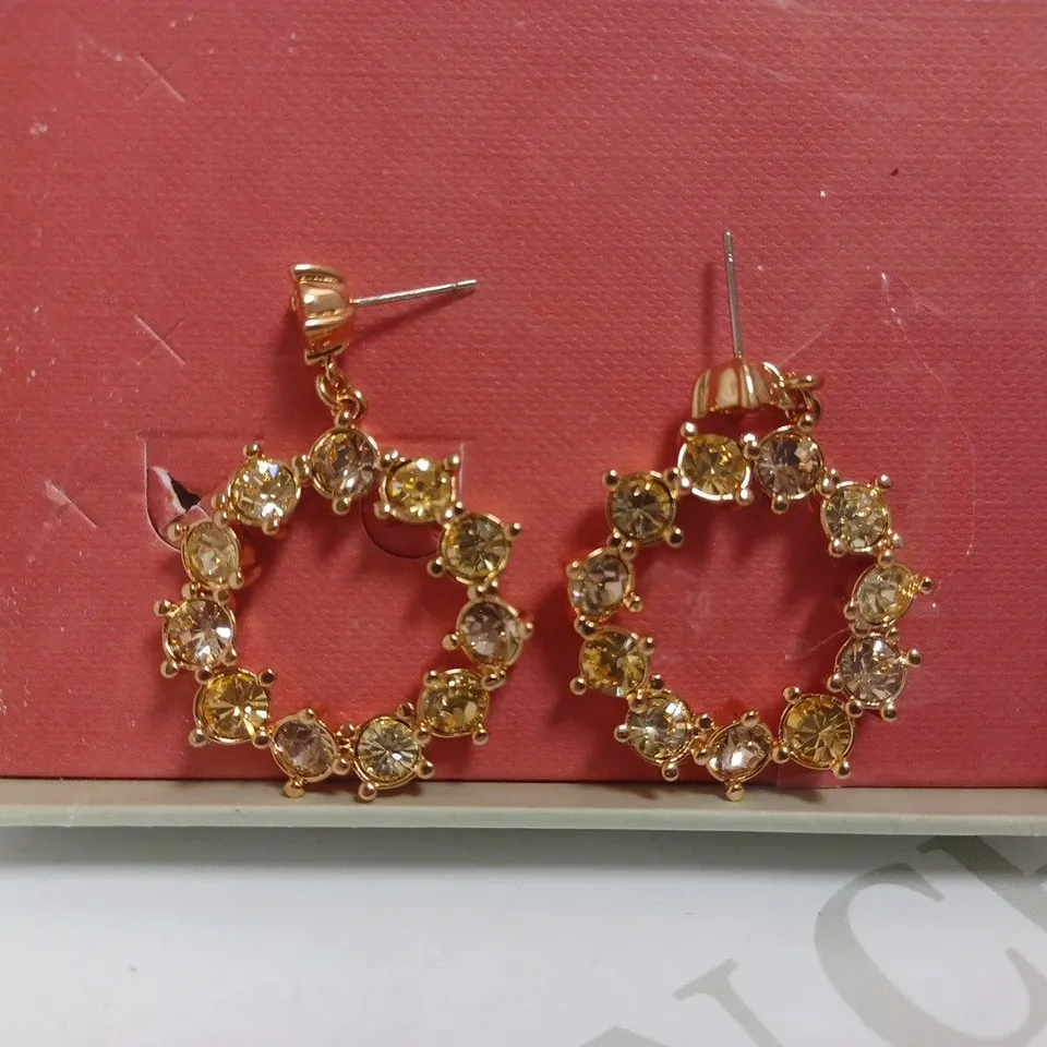 TED BAKER ROSE GOLD EFFECT ROUND DANGLE EARRINGS