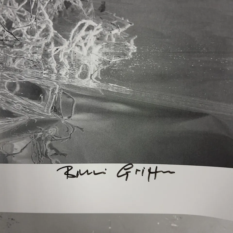 SIGNED BRIAN GRIFFIN SPEAK & SPELL POSTER PRINT 